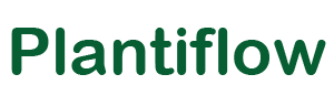 Plantiflow (mijnkwekerij)